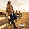 image:imageCarhartt Womens Montana 11 Waterproof Nano Square Toe Wellington Work BootDark Brown