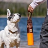 image:imageCarhartt Canvas Bumper Training Dog Throw Hunter Orange S  Pet Tool Retrieving Bumper Rugged Nylon Duck Canvas Training Bumper Designed for Retrieval TrainingHunter Orange