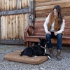 image:imageCarhartt Field Dog Bed Carhartt Brown L  Durable Water Repellent Material with TripleStitched Main seamsMedium