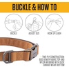 image:imageCarhartt Field Nylon Dog Collar Carhartt Brown Medium  Fully Adjustable Durable 600Denier Fabric with Reflective Wordmark for VisibilityBrite LIme