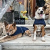 image:imageCarhartt Firm Duck Dog Chore Coat Insulated Weather Resistant Jacket for Cold and Windy Conditions Black Large  Dog Insulated Weather Resistant Jacket for Cold and Windy ConditionsDenim