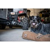 image:imageCarhartt Firm Duck SherpaTopped Dog Bed Carhartt Brown M  Durable Canvas Pet Bed Water Resistant Sherpa Top MediumDeep Wine