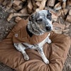 image:imageCarhartt Firm Duck SherpaTopped Dog Bed Carhartt Brown M  Durable Canvas Pet Bed Water Resistant Sherpa Top MediumPort