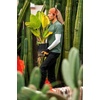 image:imageCarhartt Force Lightweight Neck Gaiter Tree CamoBurnt Olive One SizeMountain Printgolden PoppyDark Khaki