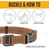 image:imageCarhartt Nylon Dog Collar Black M  Webbing Fully Adjustable with Durable Side Release Buckle and Reflective StitchingLight Moss