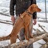 image:imageCarhartt Nylon Duck No Pull Dog Harness Carhartt Brown L  Fully Adjustable Dog Harness with Quick Control Handle and Reflective AccentsCarhartt Brown