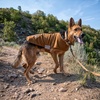 image:imageCarhartt Quick Duck FleeceLined Dog Jac Dark Sapphire L  Fleece Lined WaterRepellent Dog VestCarhartt Brown