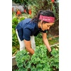 image:imageCarhartt UnisexAdult Force UPF Lightweight Headband Moonstone One SizeBandana PrintApple ButterMalt