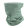 Slate Green