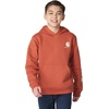 image:imageCarhartt Boys Long Sleeve Hooded SweatshirtBurnt Brick