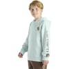 image:imageCarhartt Boys Long Sleeve Hooded SweatshirtCoronet Blue