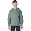 image:imageCarhartt Boys Long Sleeve Hooded SweatshirtLaurel Wreath