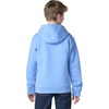 image:imageCarhartt Boys Long Sleeve Hooded SweatshirtSilver Lake Blue