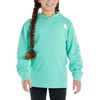 image:imageCarhartt Girls Hooded Sweatshirt  Polyester Blend  65Ounce 70 Cotton30 Polyester Printed Fleece  Everyday WearCockatoo