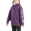 image:imageCarhartt Girls Hooded Sweatshirt  Polyester Blend  65Ounce 70 Cotton30 Polyester Printed Fleece  Everyday WearMajesty Heather Purple