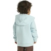 image:imageCarhartt Kids CA6273 LongSleeve HalfZip Sweatshirt  BoysStarlight Blue