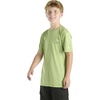 image:imageCarhartt Kids CA6696 ShortSleeve Force Sun Defender TShirt  BoysBright Light Green