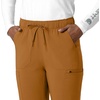 image:imageCarhartt Scrubs for Women Force CrossFlex StraightLeg Cargo Pants with Drawstring and 7 PocketsFox Brown