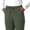 image:imageCarhartt Scrubs for Women Force CrossFlex StraightLeg Cargo Pants with Drawstring and 7 PocketsOlive