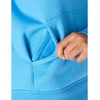 image:imageCarhartt Womens Iconic Clarksburg Logo SweatshirtTranquil Blue Heather