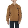 Carhartt Brown