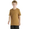 Carhartt Brown (Tonal)