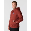 image:imageCarhartt Mens 106655 Force Relaxed Fit Lightweight Logo Graphic SweatDark Spice Red