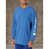 image:imageCarhartt Mens Dearborn Loose LongSleeve Logo TShirt CloseoutLakeshore Heather