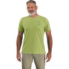 Algae Green