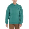 image:imageCarhartt boys Hoodie Fleece Pullover SweatshirtHooded SweatshirtBlue Spruce