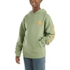 image:imageCarhartt boys Hoodie Fleece Pullover SweatshirtHooded SweatshirtLoden Frost Green