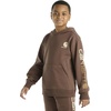 image:imageCarhartt boys Hoodie Fleece Pullover SweatshirtHooded SweatshirtMed Brown
