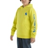 image:imageCarhartt boys Hoodie Fleece Pullover SweatshirtHooded SweatshirtSulphur Spring