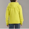 image:imageCarhartt boys Hoodie Fleece Pullover SweatshirtHooded SweatshirtSulphur Spring