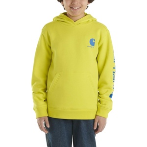 image:imageCarhartt boys Hoodie Fleece Pullover SweatshirtHooded SweatshirtSulphur Spring
