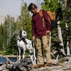 image:imageCarhartt Dog Waste Bag Dispenser Carhartt Brown