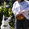 image:imageCarhartt Dog Walking Waist Pack Carhartt BrownBlack