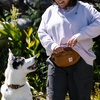 image:imageCarhartt Dog Walking Waist Pack Carhartt BrownChalk