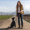 image:imageCarhartt Nylon Dual Handle Dog Leash Hunter Orange LCarhartt Brown