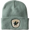 image:imageCarhartt Mens 107842 Knit Shamrock Patch BeanieGreen Slate