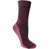 image:imageCarhartt Womens SS9220W Womens Force Midweight Short Crew SockBlackberry Heather